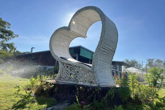 ต้มไก่บ้าน